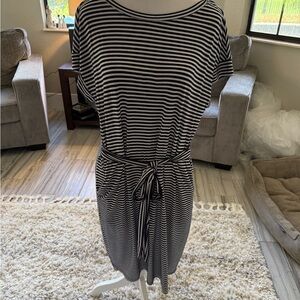 Navy Blue and White Striped Dress with Belt